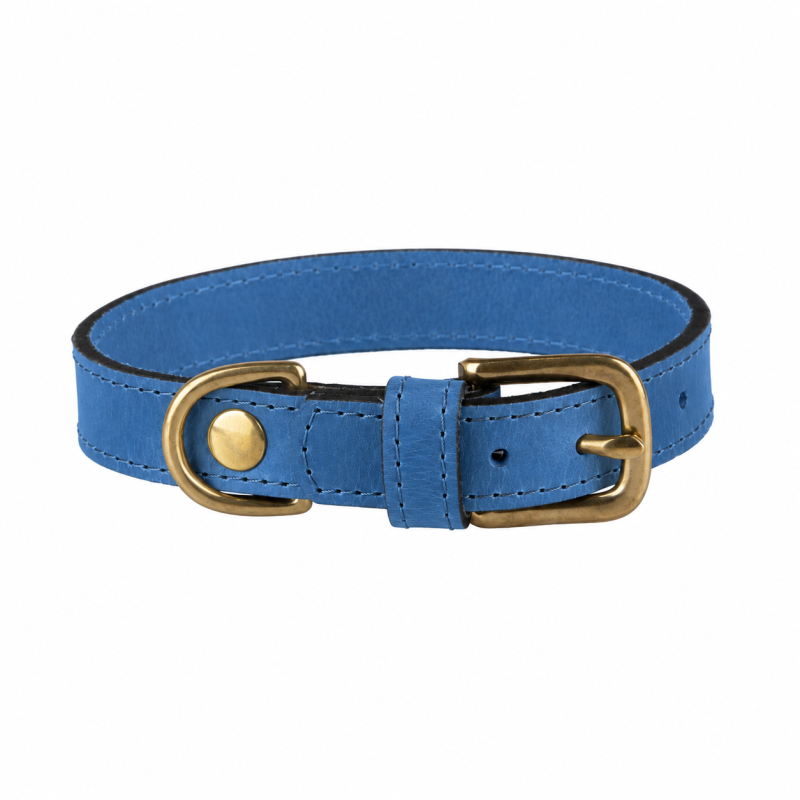 Azur blauw halsband