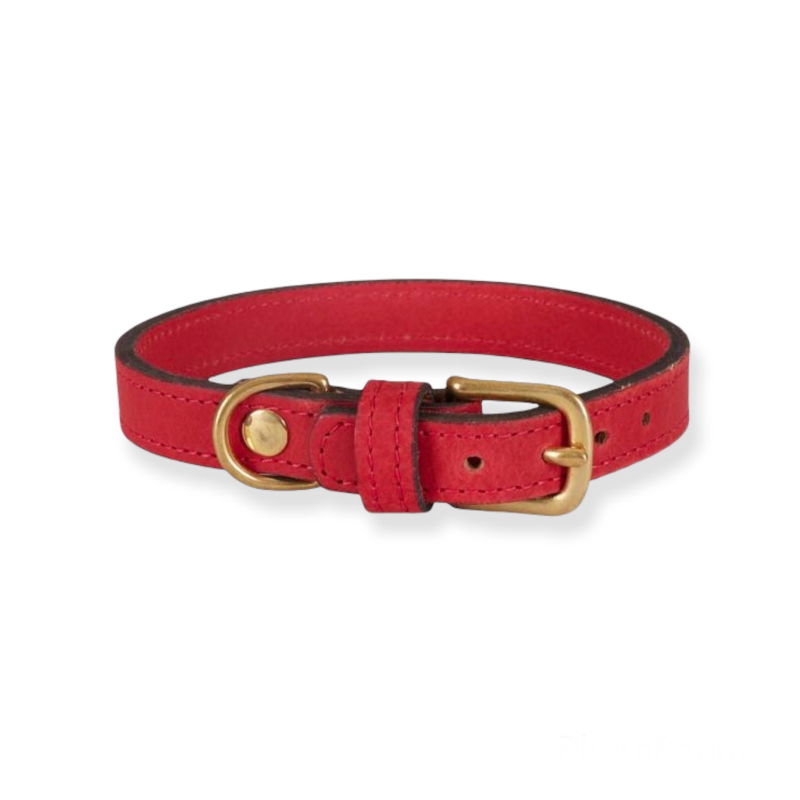 Monmartre rood halsband