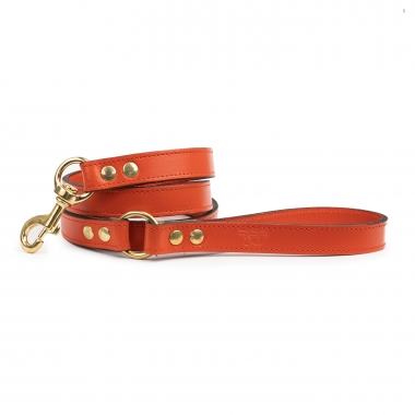 Montpellier orange leash 