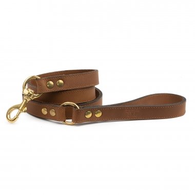 Saint-Louis brown leash