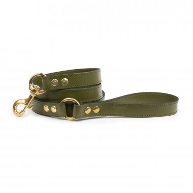 Toulouse green leash