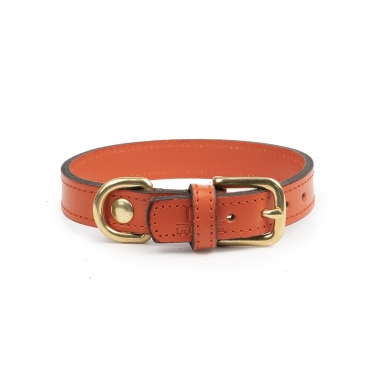 Montpellier oranje halsband